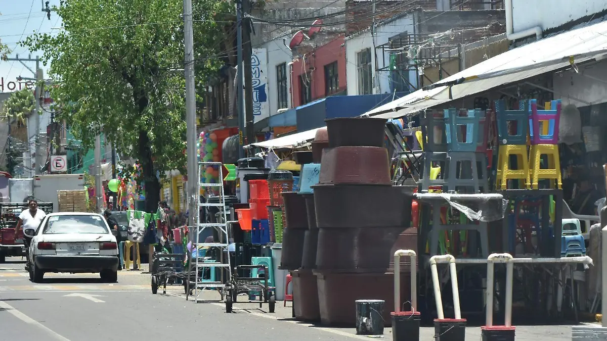 ambulantes toluca